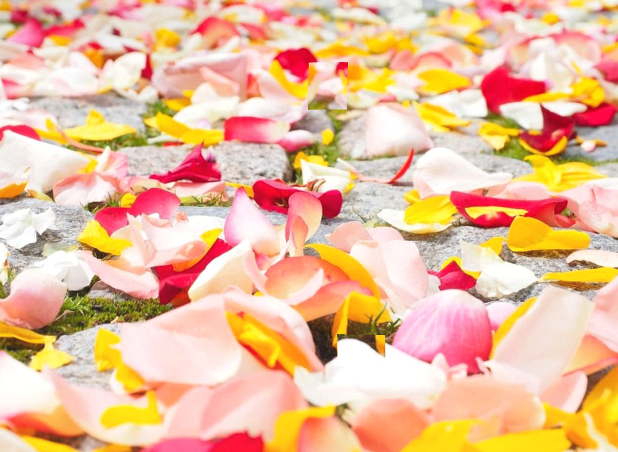 Décor floral de mariage